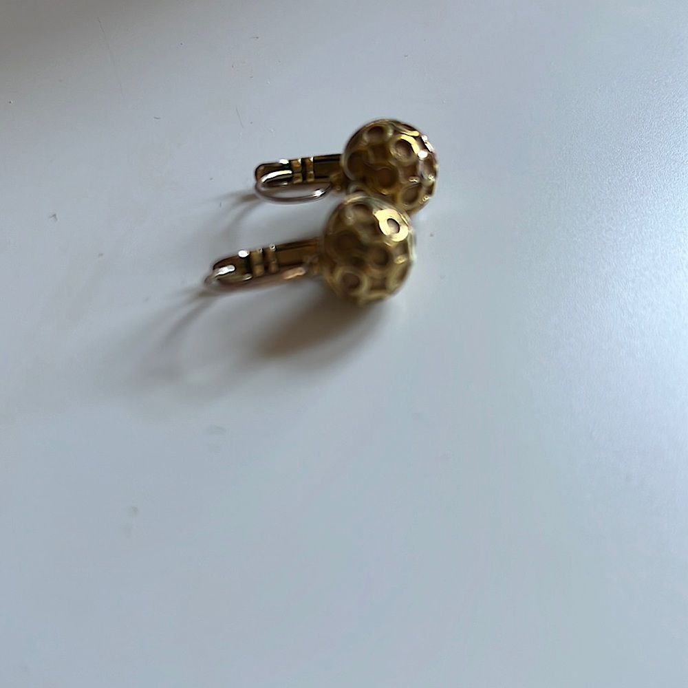COPY - Coach earrings